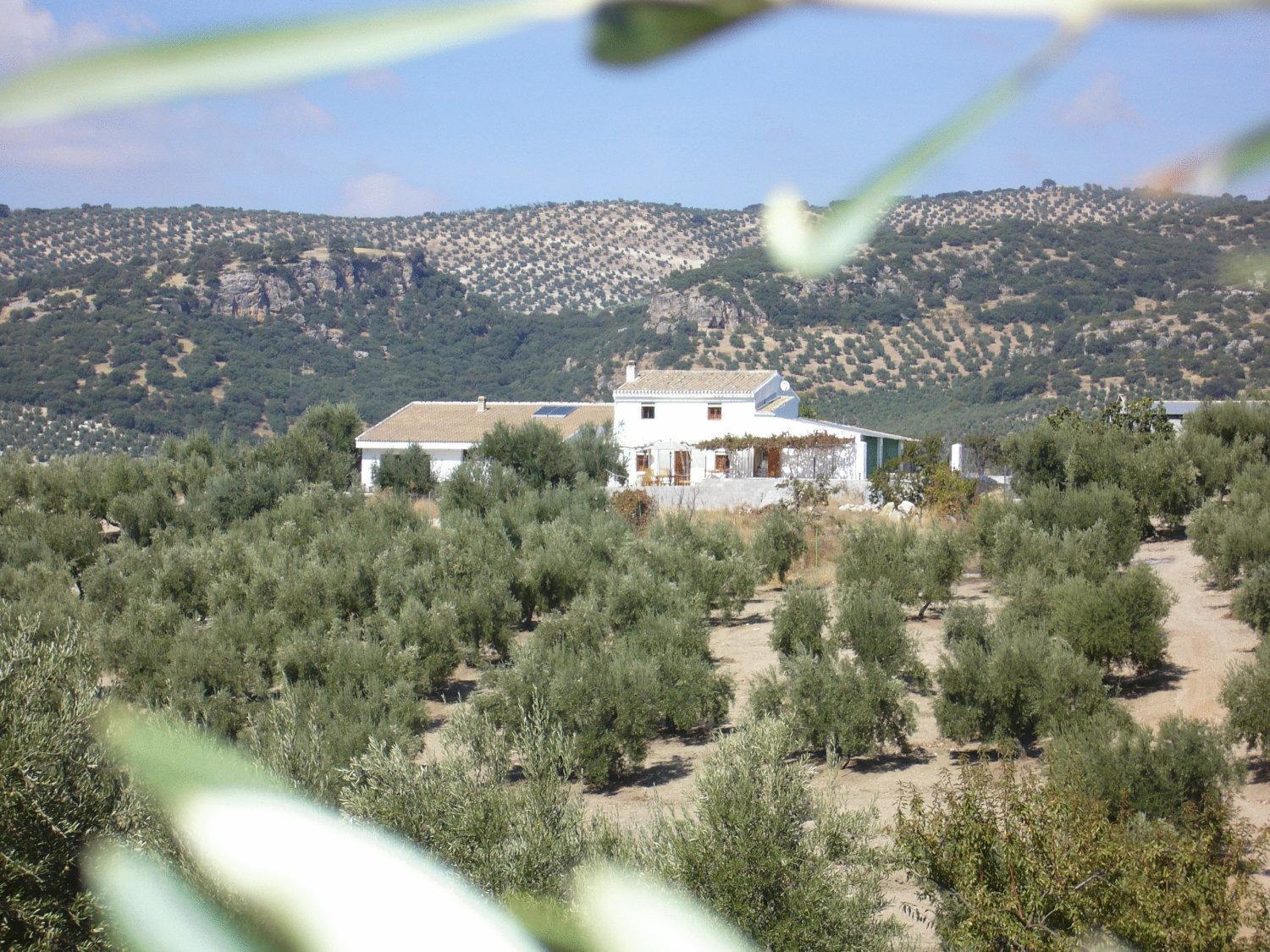 B&B Lasnavillasmm مونتيفريو المظهر الخارجي الصورة