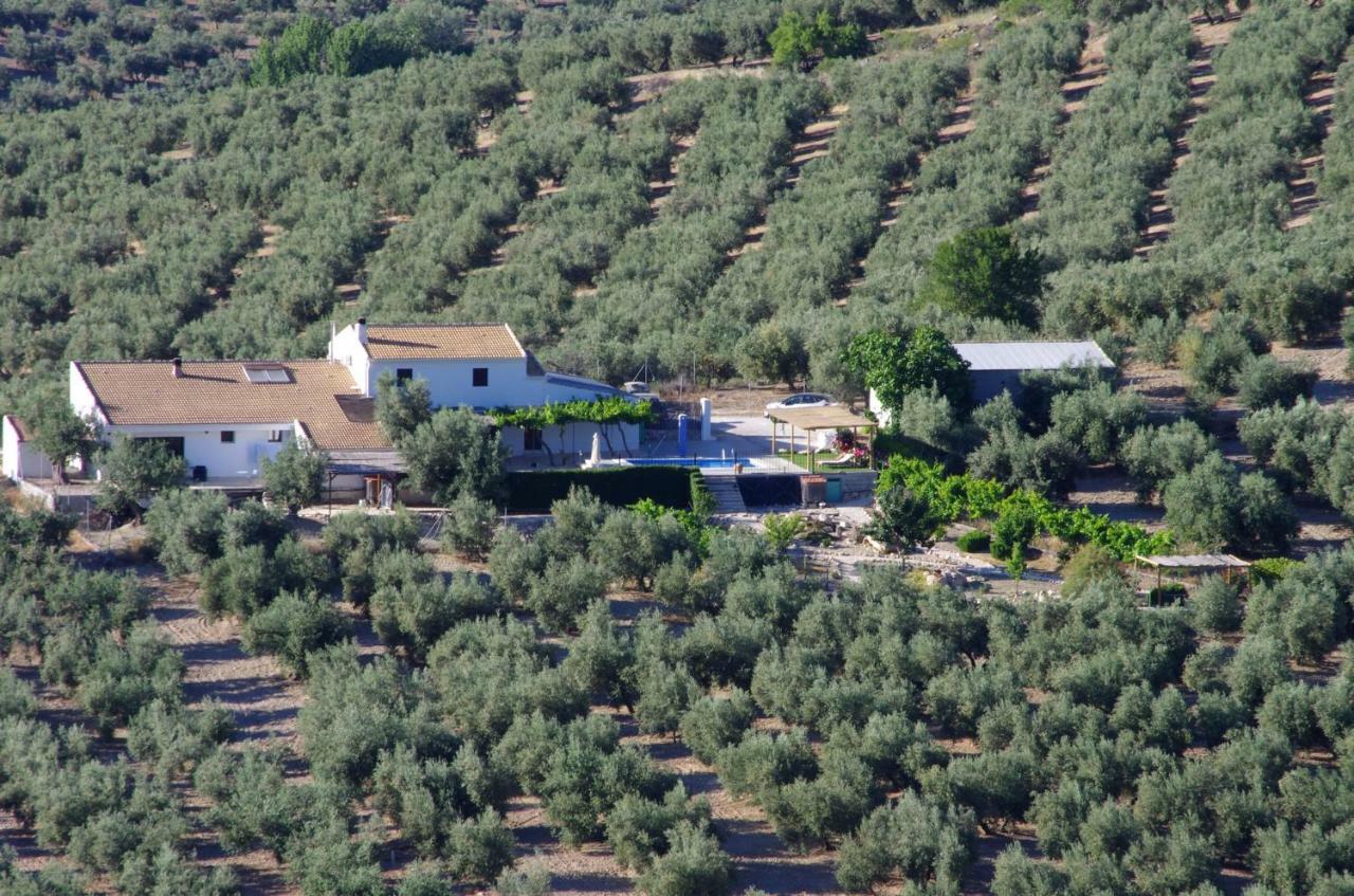 B&B Lasnavillasmm مونتيفريو المظهر الخارجي الصورة